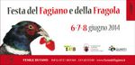 2014_06_07_festa_fagiano.jpg