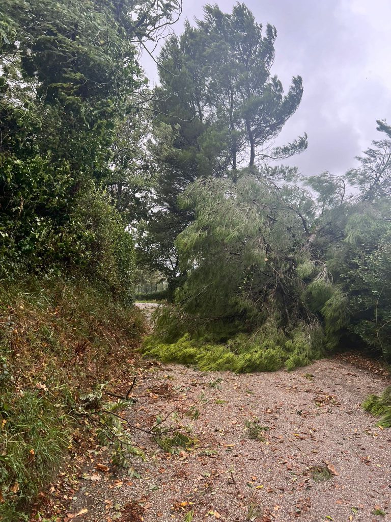 Vento forte a Fano