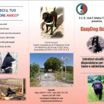 EasyDog School