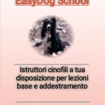 EasyDog School