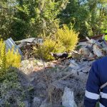 Amatrice: esercitazione cinofila