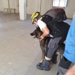 Esercitazione Terrae Motus 6.0