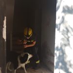 Esercitazione Terrae Motus 6.0