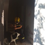 Esercitazione Terrae Motus 6.0
